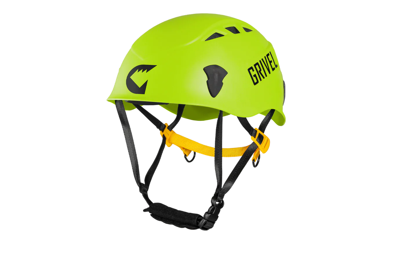 Salamander 2.0 grün