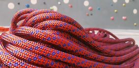 Wall Expert 10,00 Phoenix